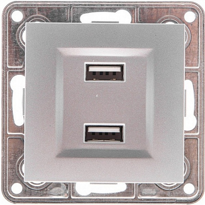 Розетка USB подвійна LXL Tesla сріблястий металік TLXL3533A silver metallic
