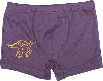 Трусики-боксери для хлопчиків KOSTA 1172-3 р.110 графіт