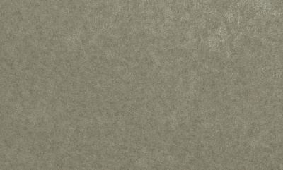 Шпалери вінілові на флізеліновій основі MEGAPOLIS 9155-28 1,06x10,05 м