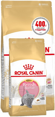 Корм сухой для котят Royal Canin Kitten British Shorthair (11521) 400 г + 2,4 кг