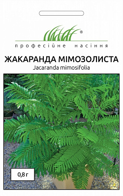 Насіння Професійне насіння жакаранда мімозолиста 0,8 г (4823058200934)