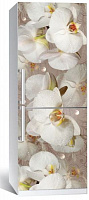Наліпка на холодильник Zatarga Орхідея та крапля роси 65x200 см