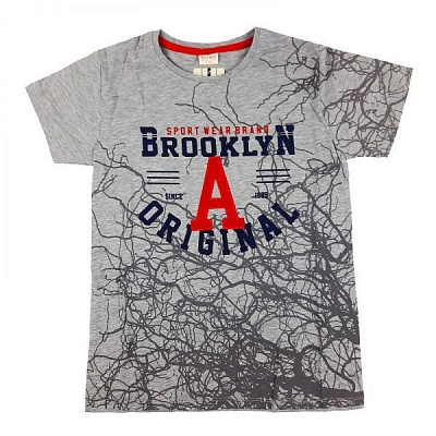 Футболка для хлопчика AKKU з літерою А р.140 сірий 9076