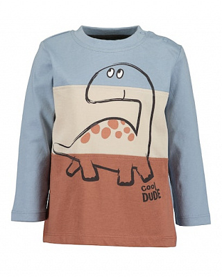 Реглан для мальчика Blue Seven р.74 коричнево-голубой 977620 X* 