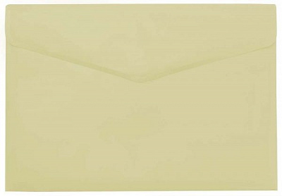 Папка Мульти L6141 А4 бежева LEO