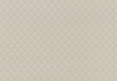 Обои виниловые на флизелиновой основе Vinil Джексон ДХС-1324/2 1,06x10,05 м 