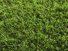 Ковролін TOSCANA 20 green 2 м