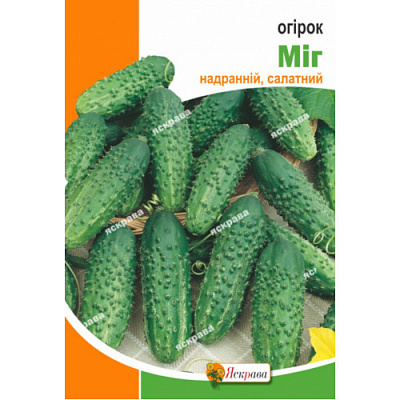 Семена Яскрава огурец Миг
