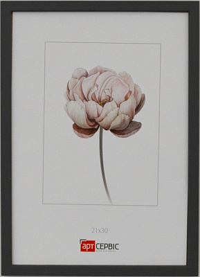 Рамка для фото Арт-Сервіс ЕА-01819 1 фото 21х30 см графіт