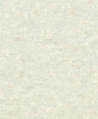 Шпалери вінілові на флізеліновій основі RASCH 972122 1,06x10,05 м