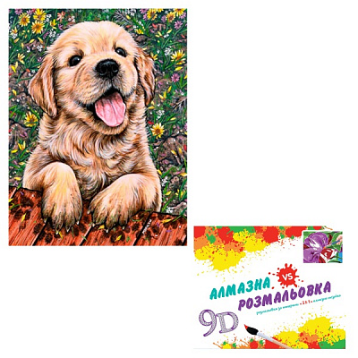 Картина по номерам 2 в 1 Алмазная мозаика + раскраска 40х50 см CY2323