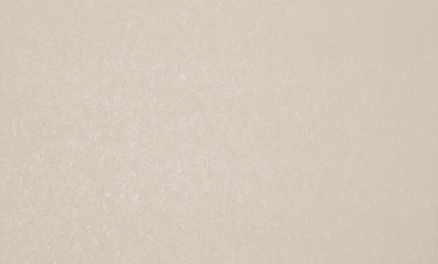 Шпалери вінілові на флізеліновій основі MEGAPOLIS SP509-03 1,06x10,05 м