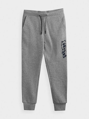 Брюки 4F J4Z20-JSPMD214A-25M р. 134 серый