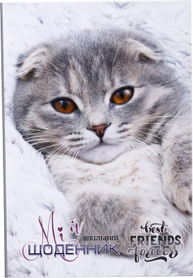 Дневник 741 7БЦ матовая ламинация 165х240 мм 40 листов Mandarin