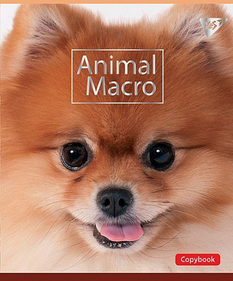 Зошит шкільний А5/12 в лінійку Animal Macro 764231 YES