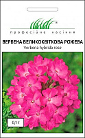 Насіння Професійне насіння вербена великоквіткова рожева 0,1 г