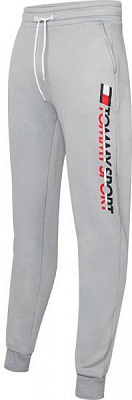 Штани Tommy Hilfiger FLEECE HBR LOGO JOGGER S20S200189001 р. XL світло-сірий