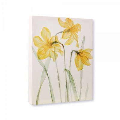 Репродукция на холсте Нарциссы 30x40 см 