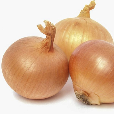 Насіння Професійне насіння цибуля ріпчаста Брунекс 200 шт. (4820176693280)