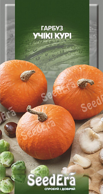 Насіння SeedEra гарбуз Учікі Курі 3г (4823114404214)