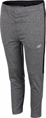 Штани 4F HJL20-JSPMTR001-23M р. 152 темно-сірий