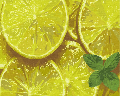 Картина по номерам Мятный цитрус 12014-AC 40х50 см ArtCraft 