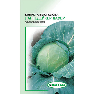 Семена Капуста белокочанная Лангедейкер Дауэр 1 г