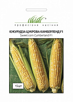 Семена Професійне насіння кукуруза сахарная Камберленд F1 15 шт. (4820176696496)