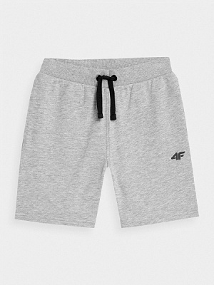 Шорты 4F SHORTS CAS M269 4FJRMM00TSHOM269-27M р. 158 серый