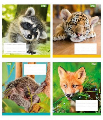 Комплект зошитів 12 аркушів коса Тварини Поліграфіст