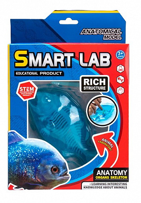 Набір дослідника Maya Toys Анатомія тварин Піранья 802B