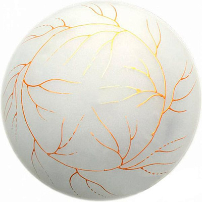 Светильник настенный Укрсвітло НПБ Водоросли 1x60 Вт E27 белый с рисунком 11136 