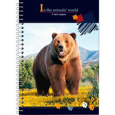 Блокнот А6 48 л E20319-99 Economix