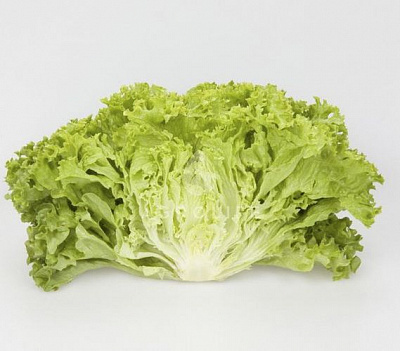 Насіння Садовий Світ салат листовий Алеппо (Rijk Zwaan) 10 шт. (4823095601510)