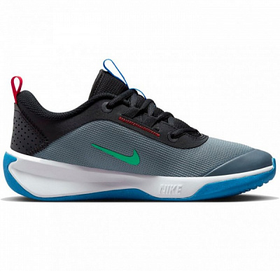 Кроссовки Nike OMNI MULTI-COURT DM9027-006 р.36,5 серый