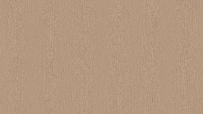 Обои виниловые на флизелиновой основе Sintra BOTANICA,TIMBERLAND UNI 524367 1,06x10,05 м