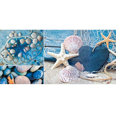 Декор Атем Charlotte 1 BL 250х500 мм