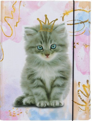 Папка для зошитів папка для зошитів на резинці Cat Princess, 200х250 мм, PP-покриття