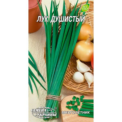 Насіння України Цибуля запашна 1 г