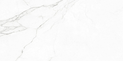 Плитка Emigres Альба-пул Гріс 59x119