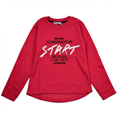 Футболка с длинным рукавом ALG 68622 р.116 малиновый 