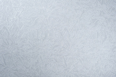 Шпалери зі спіненого вінілу Vinil Фіджі декор ДХС-1480/5 1,06x10,05 м