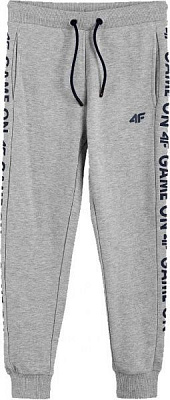 Брюки 4F J4Z20-JSPMD217A-25M р. 158 серый