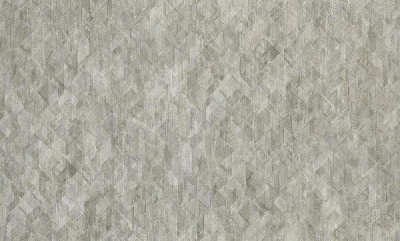 Шпалери вінілові на флізеліновій основі ASSORTI тип 774 947AS49 1,06x10,05 м