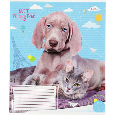 Тетрадь школьная 12 листов в линию Поділля