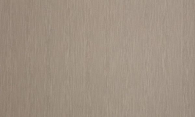 Шпалери вінілові на флізеліновій основі Bravo 81186BR25 1,06x10,05 м