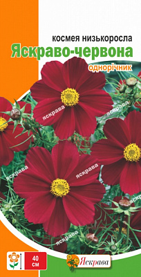 Насіння Яскрава космея низькоросла Яскраво-червона
