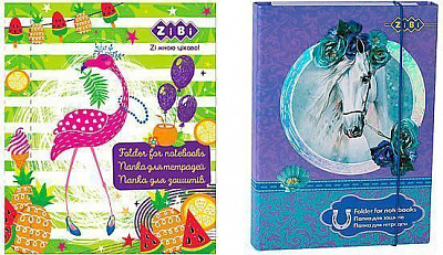 Папка для тетрадей AMAZING ZB 14964 ZiBi