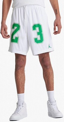 Шорты Jordan M J ESS MESH GFX SHORT DX9671-100 р. L белый