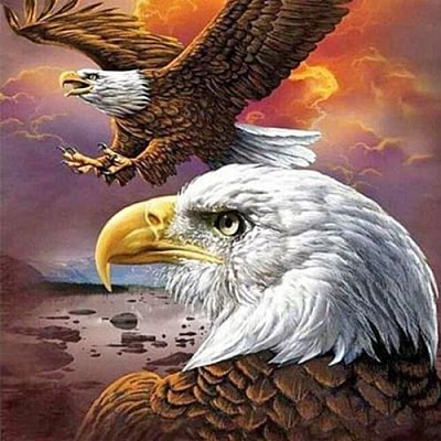 Набор для творчества со стразами на подрамнике Величественная птица 30x30 см Діамантові ручки 